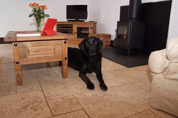 Dreamcatcher loves four-legged friends and they in return love the wood-burner.