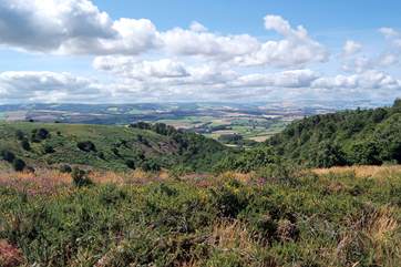 Explore the beautiful Quantock Hills right on your doorstep - fabulous walking countryside.
