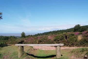 Park the car in the National Trust car park at West Quantoxhead and set off into this beautiful countryside with a picnic.