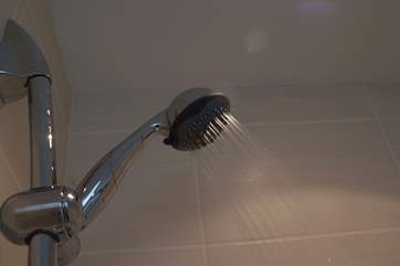 The shower in the en suite.