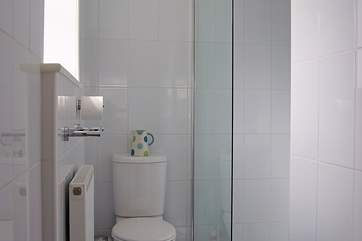 Apart from the shallow step up from the bedroom, the floor of the en suite wet-room is all on one level.