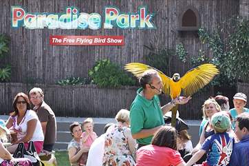 Paradise Park, Cornwall's top Wildlife Sanctuary, is close by in Hayle.