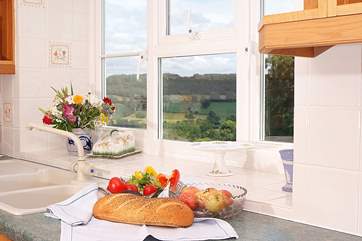 The view from the kitchen window