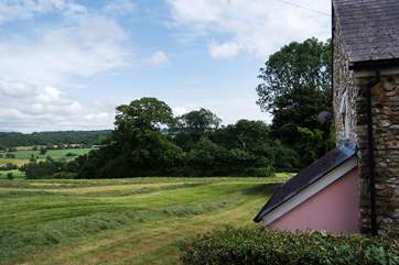 There is countryside on all sides - this is at the back of the cottage.