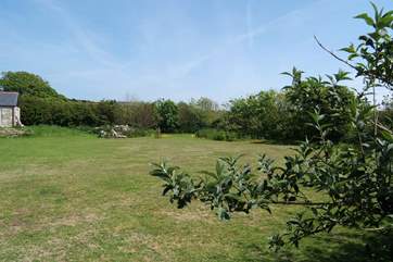 A huge garden for guests to enjoy and dogs to play.
