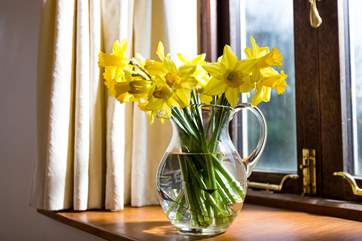 A touch of sunshine.