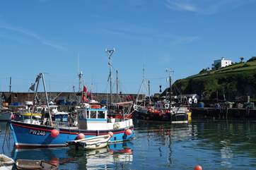 Many of the boats offering fishing trips along the coast.
