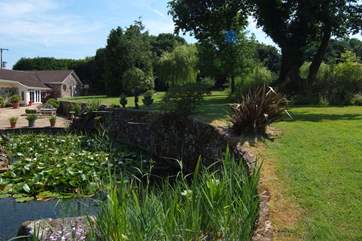 In front of the parking area there is a beautiful pond with lillies, goldfish and all number of visiting wild birds.