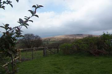 The garden is fully enclosed and has views towards Withypool Common - open moorland for you to explore.
