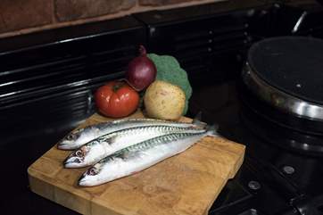 Hire a boat and catch dinner.