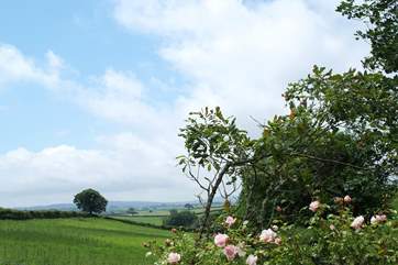 Views down into Cornwall.
