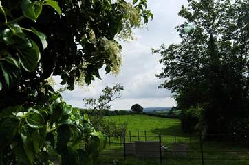 Another view taken in early evening.