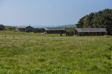 Hobie is in the middle with Rusty the Tin Tent to the left and Woody to the right.