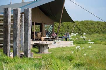 Woody is further on from Hobie in the seven acre meadow with a sheltered barbecue area set off to the side.
