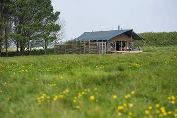 There is a sheltered barbecue area is to the left of Woody.