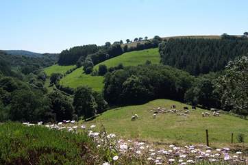 This is the view down the valley from your garden and from the summer-house. You will regularly see deer grazing too.