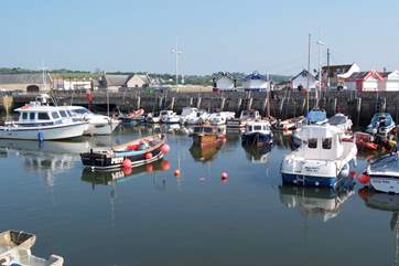The east Devon and west Dorset coastline offers lovely fishing villages and harbours to visit.
