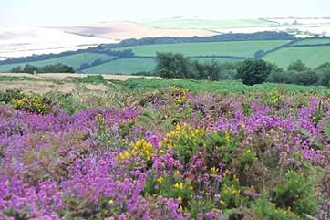 The breathtaking views from high up in the Quantocks.