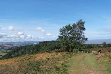 One of the fabulous walks in the Quantock Hills. You can see the Bristol Channel and Exmoor in this photograph.