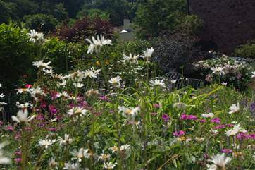 The cottage is embraced by its wonderful garden - an absolute delight of colour and variety.