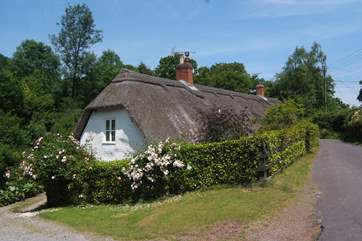 This is the setting for the cottage at the heart of the conservation village of Holford, right on the edge of the Quantock Hills.