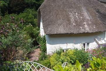 Looking down across the back garden.