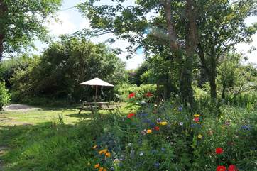 The garden.