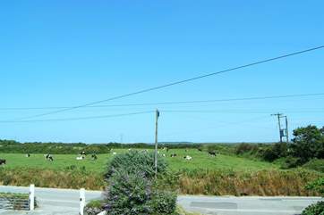 The view from the upstairs front bedroom, where you can see right across to Goonhilly Downs.