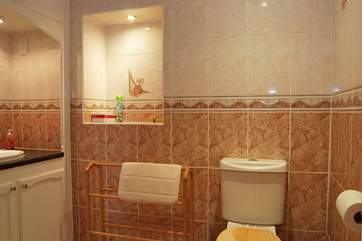 The ground floor shower-room.
