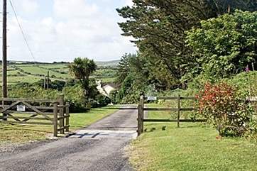 The driveway to the farm.
