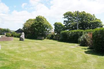 The garden.