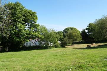 There is plenty of space for children to play in the meadow.