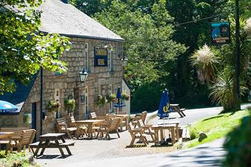 The Lamorna Wink pub is the first port of call en route to the Cove (just a ten minute stroll down the lovely leafy lane).