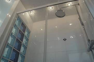 The shower cubicle is fitted with a fabulous drench-head shower.