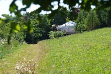 Poppy Yurt basking in the South Devon sunshine.