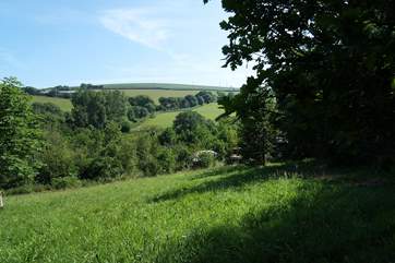 Looking from the woodland behind towards Poppy in the distance (behind the tree) and Ashley's Shack and the valley beyond.