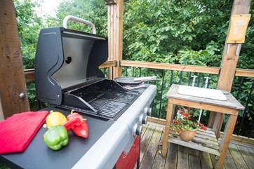 The covered barbecue area with outdoor sink (with hot and cold water) looks towards the valley beyond.