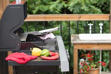 Cooking up a treat on the barbecue for an al fresco meal