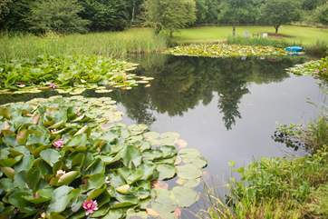 The beautiful lake with its two small islands (Alice and Milo). Try out your skills on the rowing boat (children must always be supervised).