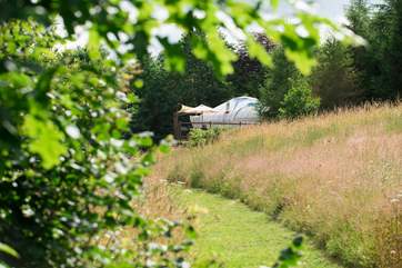 Poppy Yurt is sat proud on its decking in four and a half acres of meadow and woodland.