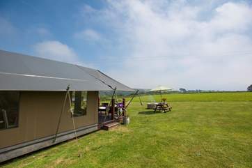 Fabulous Foxglove - a tent with a view!