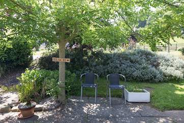 Another view of the garden.