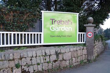 Trebah Gardens are just up the road and well worth a visit and they are dog friendly.