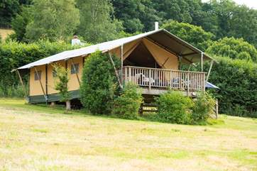 Celandine has fabulous views over the valley beyond.