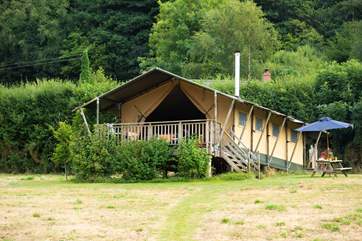 Celandine sitting proud in the meadow. There is plenty of space around these three super safari tents.