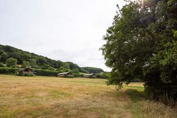 Looking up across the meadow to Honeysuckle on the left, Celandine in the middle and Campion on the far right.