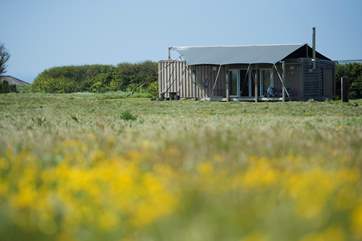 Situated in a wild flower meadow, Rusty is the prefect all year round glamping getaway.