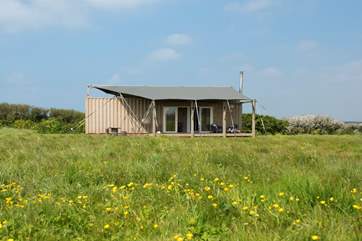 Rusty sits in the seven acre meadow alongside Hobie and Woody the safari tents. There is plenty of space between them all.