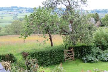 The enclosed garden borders a peaceful meadow for you to use freely.