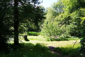 Another view of the pond and the woodland that borders it.